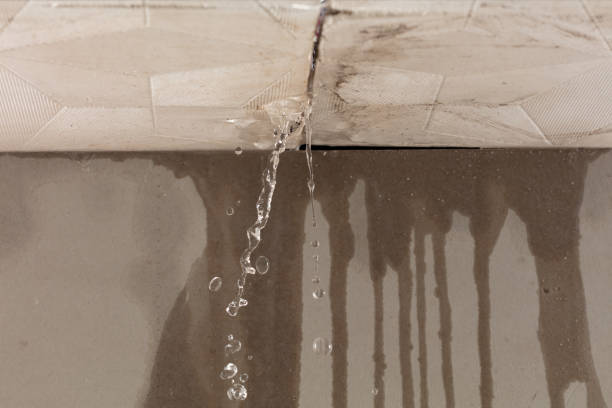 Professional Structural Drying technician working in Lukachukai, AZ